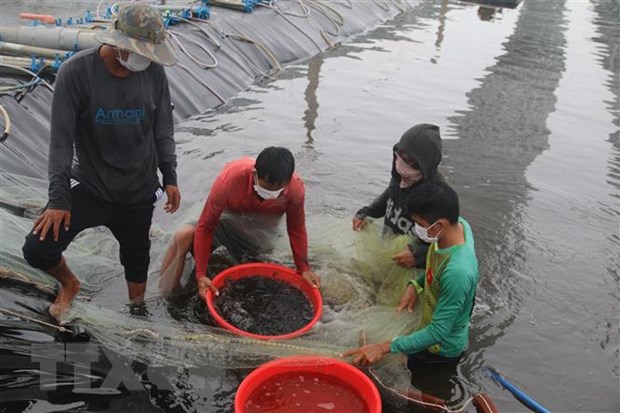 La République de Corée soutient un projet d aquaculture au Vietnam